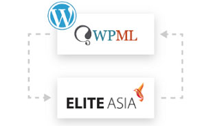 Website Localisation Integration with WPML in Singapore